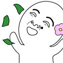 스윗피(Sweetfy)