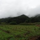 사무봉(736m) . 삼봉산(411m). 장바위산(견훤산성547m)/경북 상주.문경 이미지