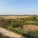 완충녹지10호 이미지