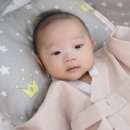 베베수피아