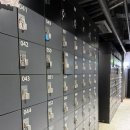 지니피트니스 | [이수역 헬스장] 영자피트니스 헬스 PT 기구필라테스/ 활기찬 에너지에 자극받는 오운완 후기