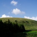 앞동산목장 이미지