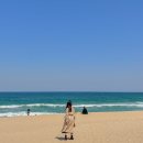 뉴그린카 | 강릉역 KTX 렌트카 그린카 G카로 즐긴 강릉 여행 가볼만한곳 추천