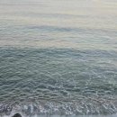 정암식당 이미지