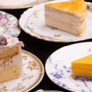 분당-239 이미지