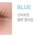 다비치안경안중터미널점 이미지