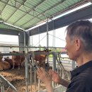 사랑목장 이미지