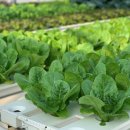 순환농장 이미지