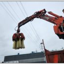 청푸른환경 이미지