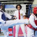 한국태권도 체육관 이미지