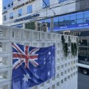 사파동289 이미지