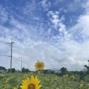 청림동-7 이미지