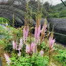 우리농장2 이미지