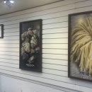 신호솔밭공원 이미지