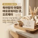이브로우스튜디오 | 소프트 섀도우 눈썹, 육아맘의 아침 메이크업 시간을 줄여드린 부드러운 일자 오르제이브로우 후기안내