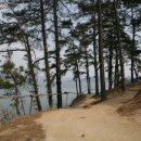 야생화길 이미지