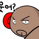 드래곤복싱클럽 백마점 이미지