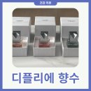 디플리뷰티 | 디플리에 향수 엘로안 베르니에 카루벤 3종 니치 향수 추천