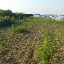 예진농장 이미지