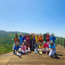 서빈투어 | 제주도 미니버스 투어 친절한 기사 포함 렌트 비용 후기