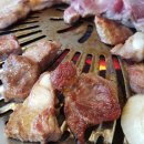 금돈농장 이미지