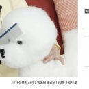 오드리 펫 이미지