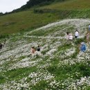 명성화원 이미지