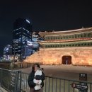 인생횟집 | 종각역 가성비 맛집 애견동반 인생횟집 후기