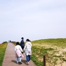 세븐일레븐태안신두리점 이미지