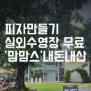 신광목장 | 천안 피자만들기 체험시 실외수영장 무료인 맘맘스 후기(퀴즈꿀팁)