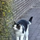 엘지안경마트 | 네덜란드 여행기 🇳🇱 - 위트레흐트, 로테르담, 헤이그 (4)