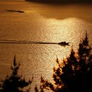 달아공원 이미지