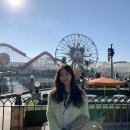 주식회사 라이팅하우스 | 엘에이 여행] 꿈과 희망의 LA 디즈니랜드 캘리포니아 (지니플러스 활용 핵꿀팁 공유!! / 어트랙션별 후기)