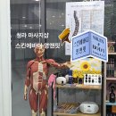영앤핏