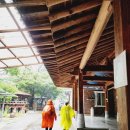 농월정주차장 이미지