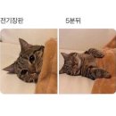 르브아 이미지