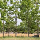 조광상사 이미지