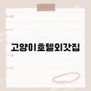 고양이호텔 외갓집 | 고양이호텔외갓집, 럭셔리 고양이 숙소, 집보다 더 편안한 힐링 스팟