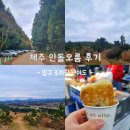 오름66 | 제주 안돌오름 후기 : 입구, 주차장, 난이도