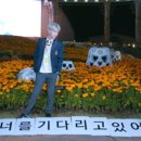 도로시지켜줄개 이미지