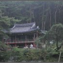 계림어탕 Daum카페