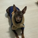 삼첩분식 하남미사점 | 겨울 지나 이른 봄