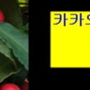 늘조은온누리약국 이미지