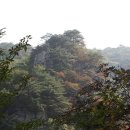 선녀상회
