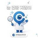 노안기업 | 노안 백내장 수술 렌즈 선택, 빛번짐 개선 노안렌즈 출시, 알콘 클라레온 팬옵틱스 프로