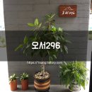 오서296