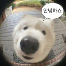 에스비에스당구장 | 2024년 4월 일상 2