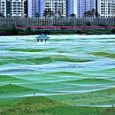 국립식량 과학원 중부작물부... 이미지