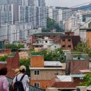 강서구-74 이미지