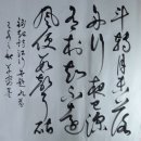 수성다듬이 이미지